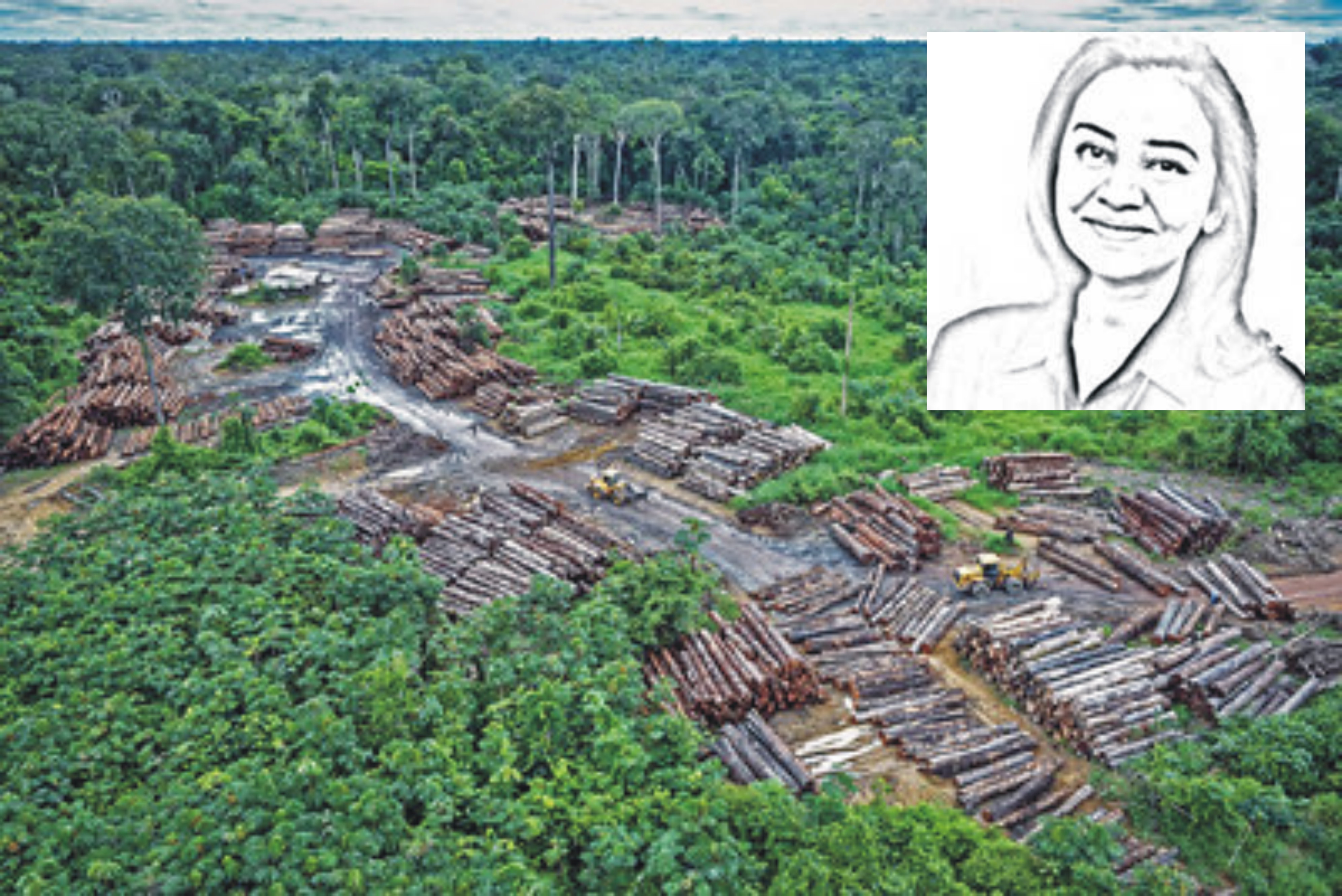 News image thumbnail