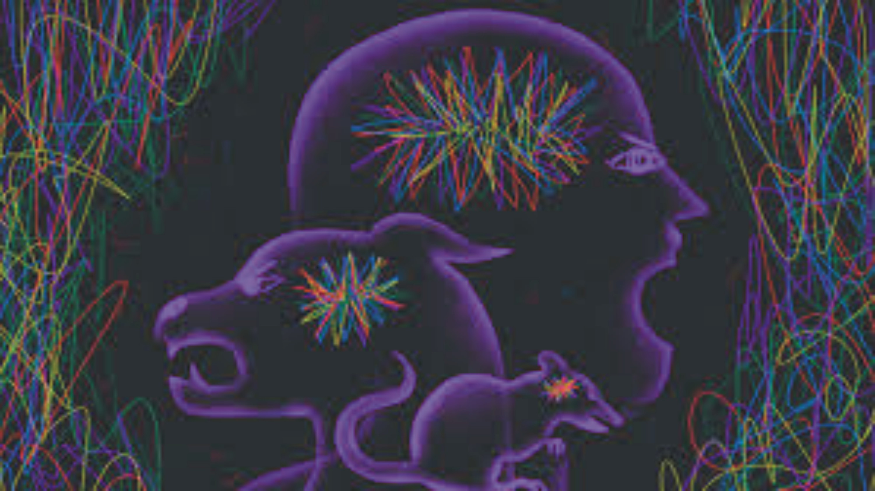 News image thumbnail