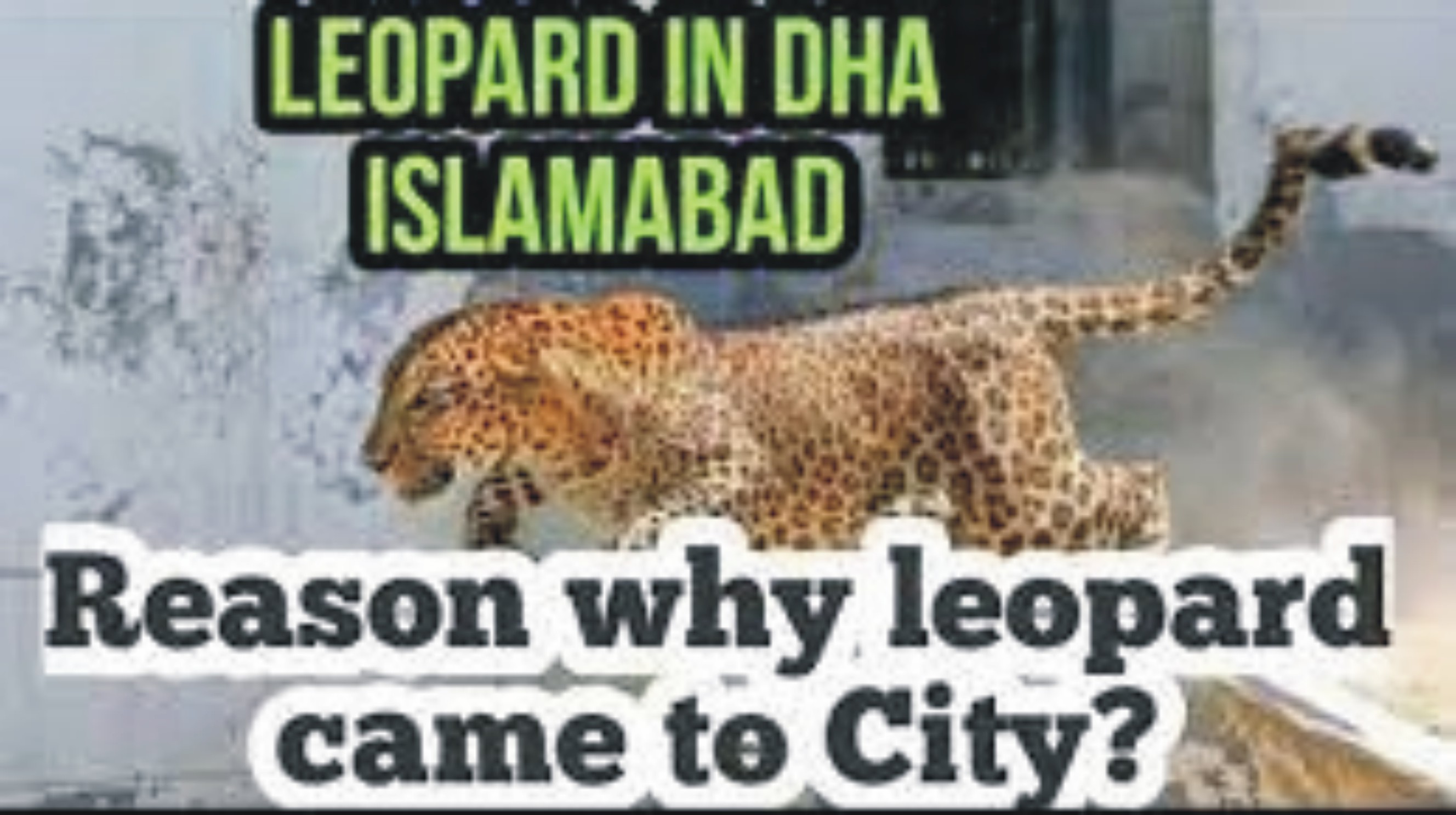News image thumbnail