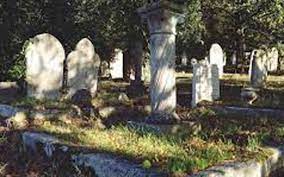 News image thumbnail