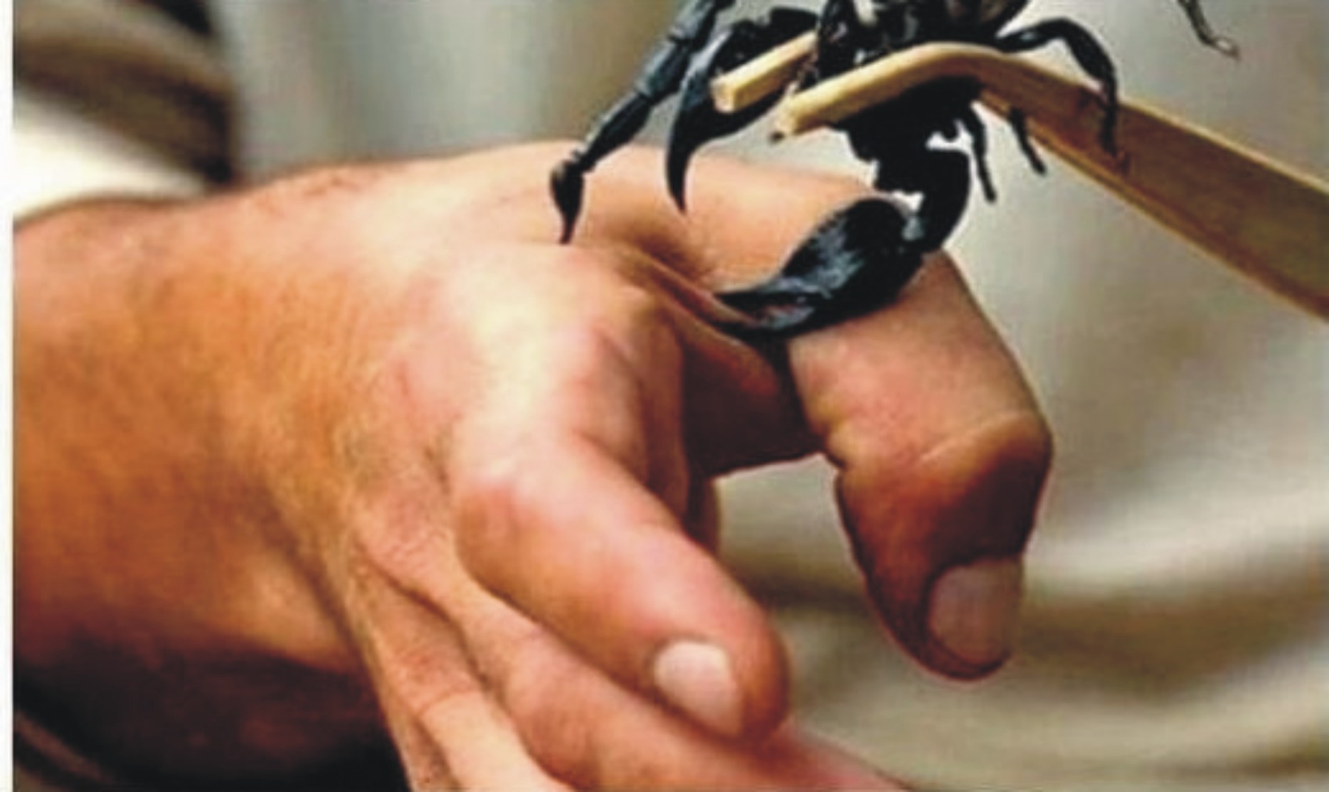 News image thumbnail