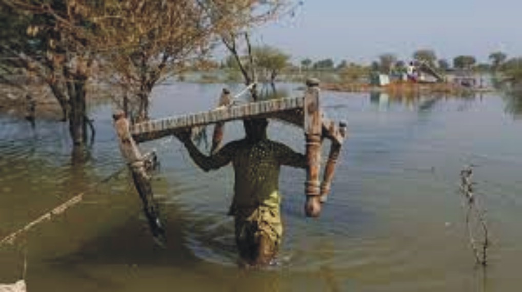 News image thumbnail