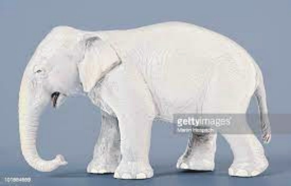 News image thumbnail