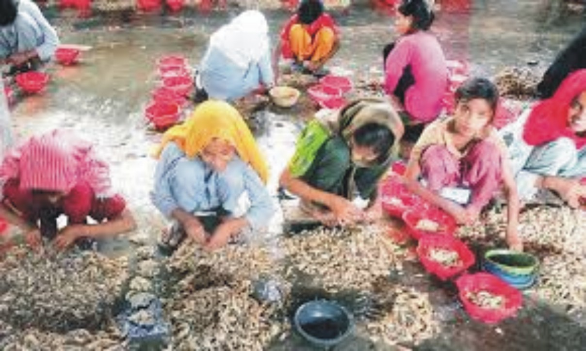News image thumbnail