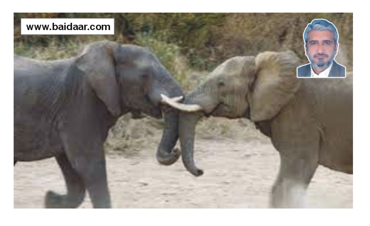 News image thumbnail