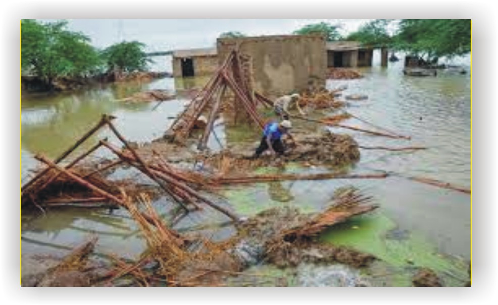 News image thumbnail