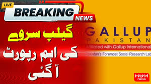News item image